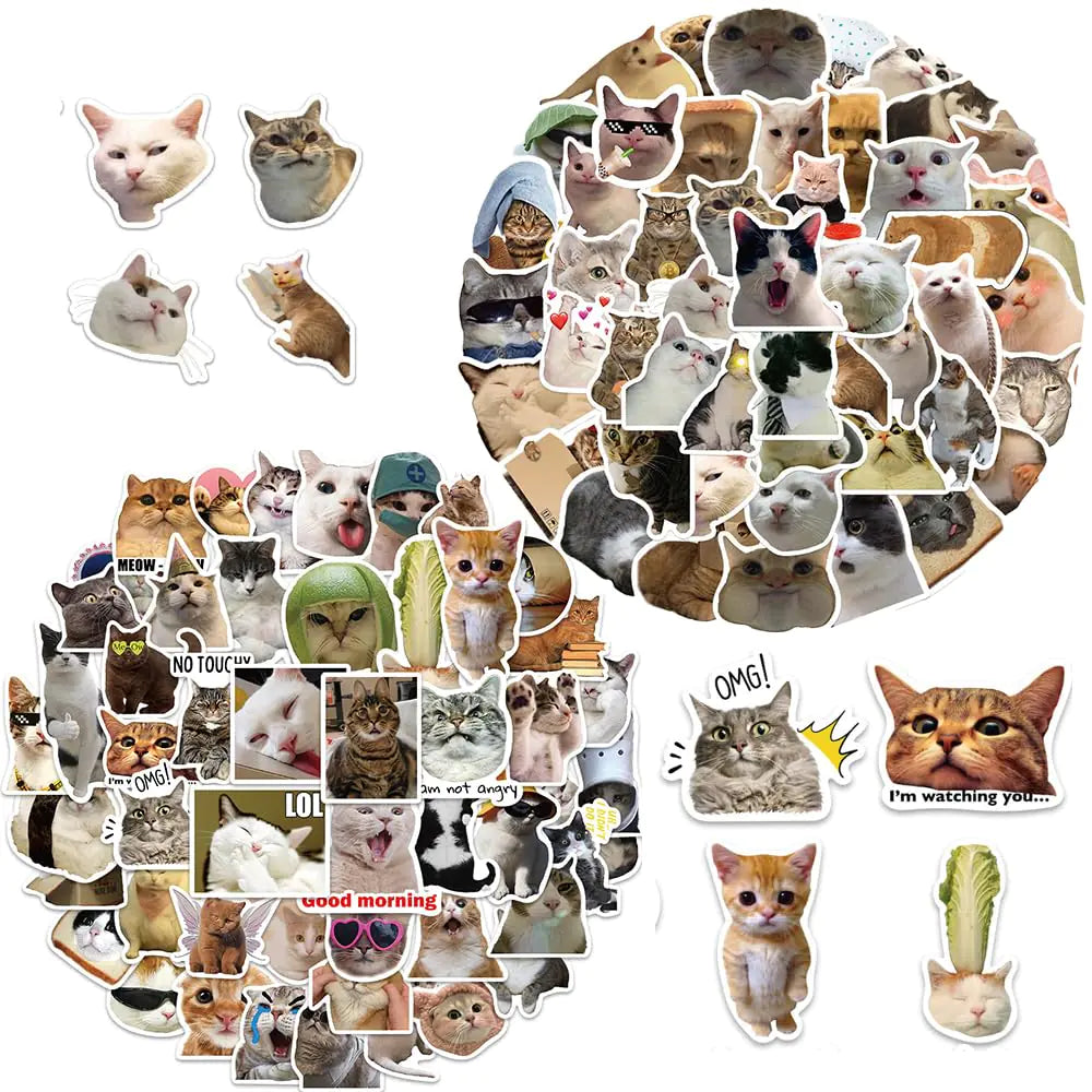 QIUYUEMIN 100Pcs Cat Cute StickersFunny Kawaii Sticker PackWaterproof Vinyl StickersCool Stickers for LaptopLuggageSkateboardWater BottlesComputer Best Gifts for Kids Boys Girls and Teens